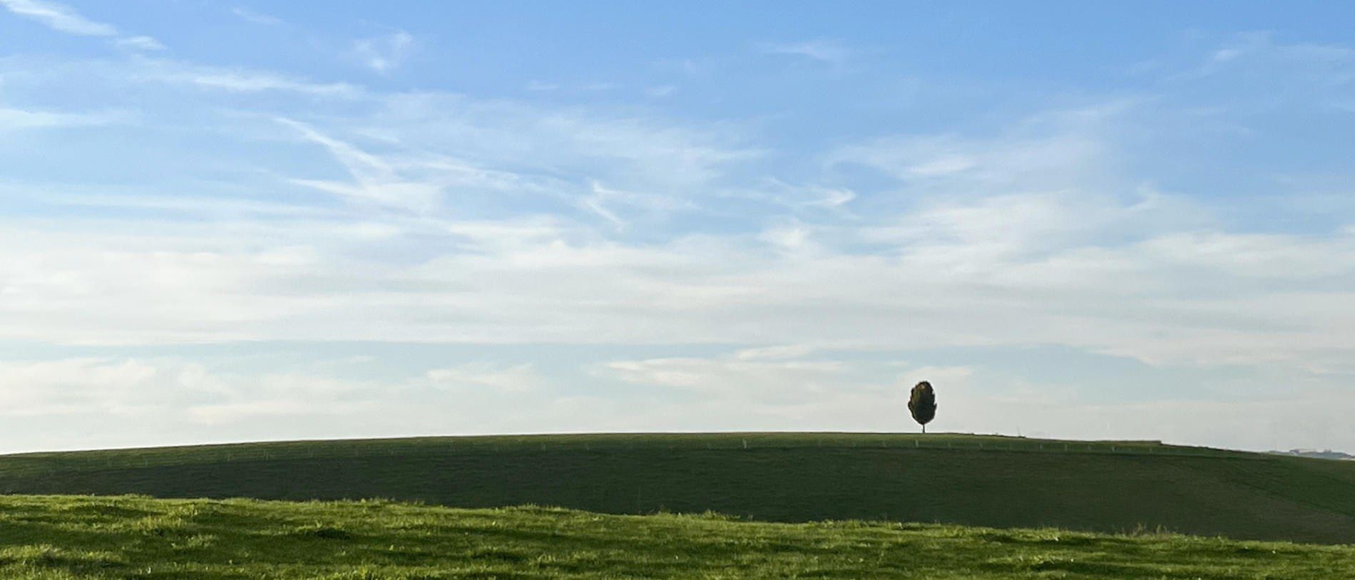 Einzelner Baum auf einer Allgäuer Wiese unter weitem Himmel